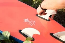 MULLET SOFT SURFBOARDS Fat Cat Model - 4'8 -SurfFlex Shop 9478953